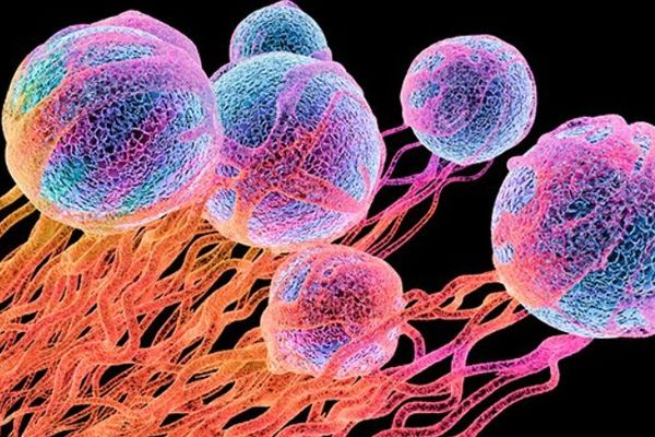 Comment Évaluer Les Facteurs De Risque Du Cancer?