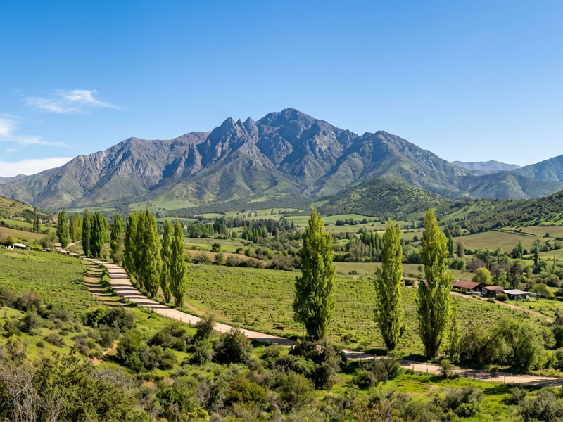 Olmué: El Corazón de la Tradición Chilena.