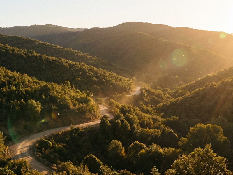 Quilpué: El Sol Eterno y los Secretos del Valle.