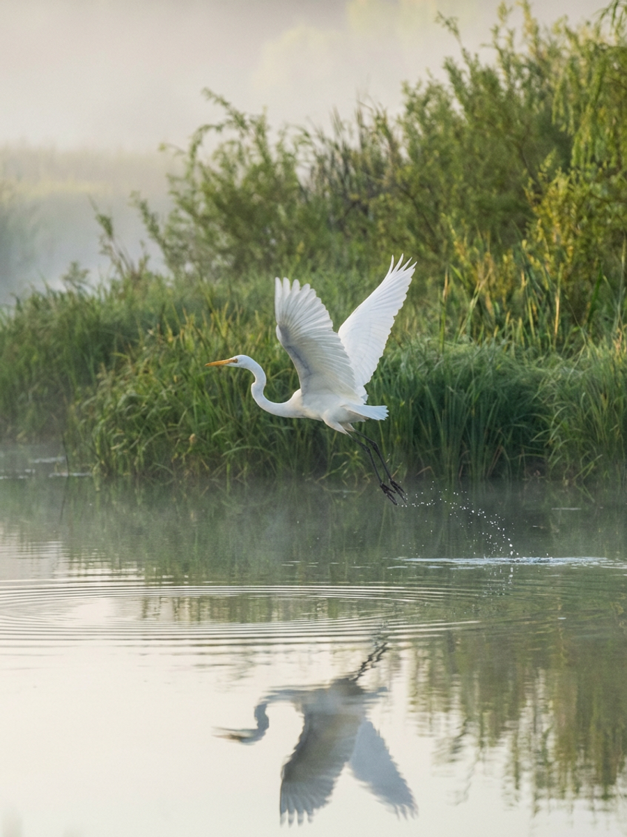 El Santuario Secreto de la Biodiversidad.