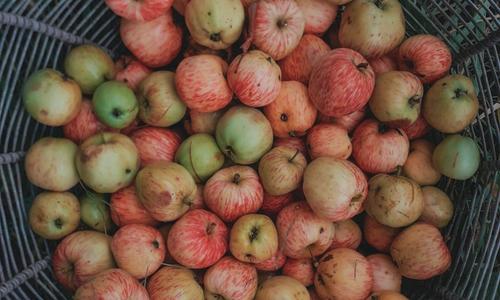 Альтернативный текст тут