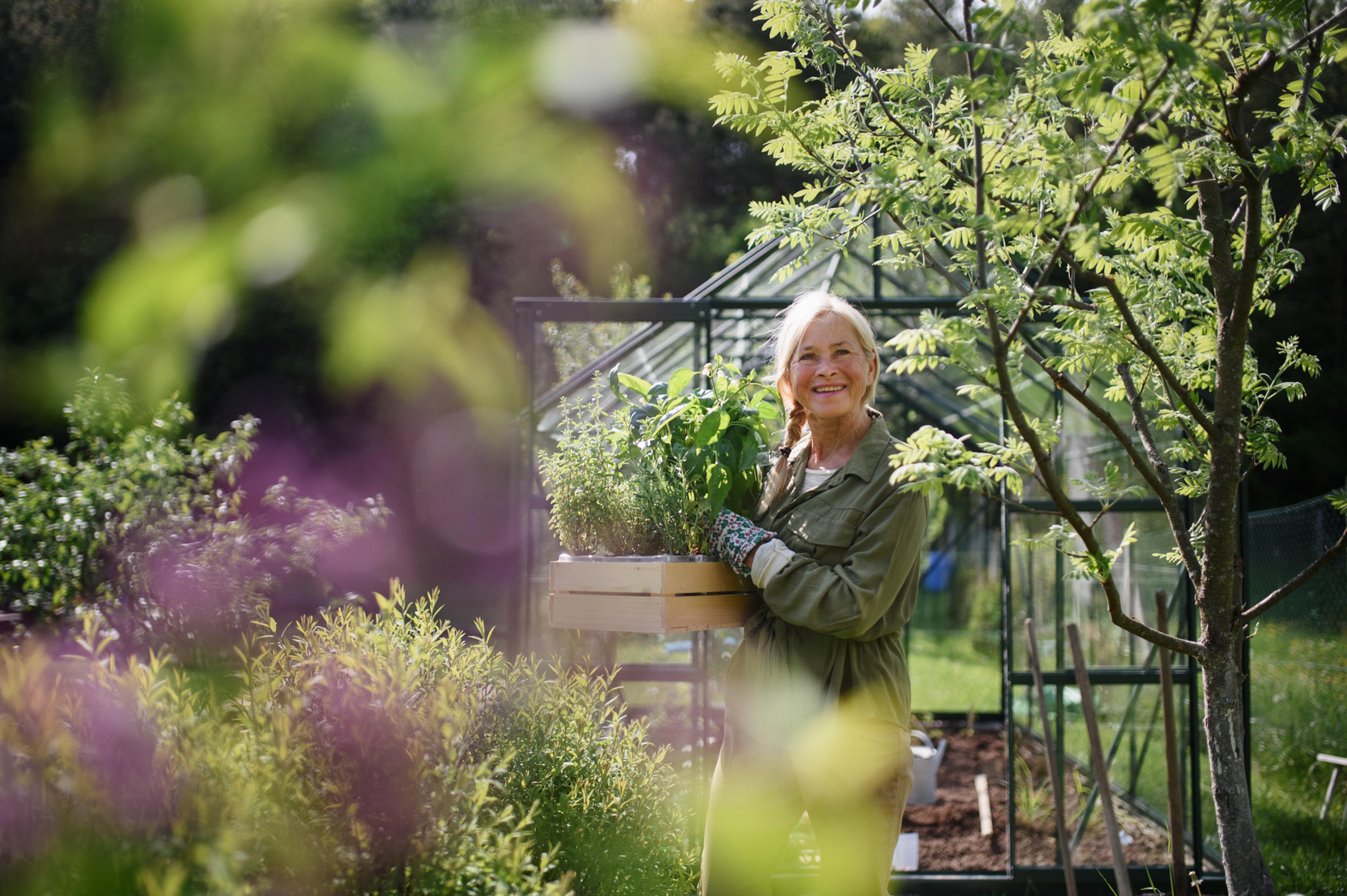 Person enjoying gardening and working on greenhouse on sunny day