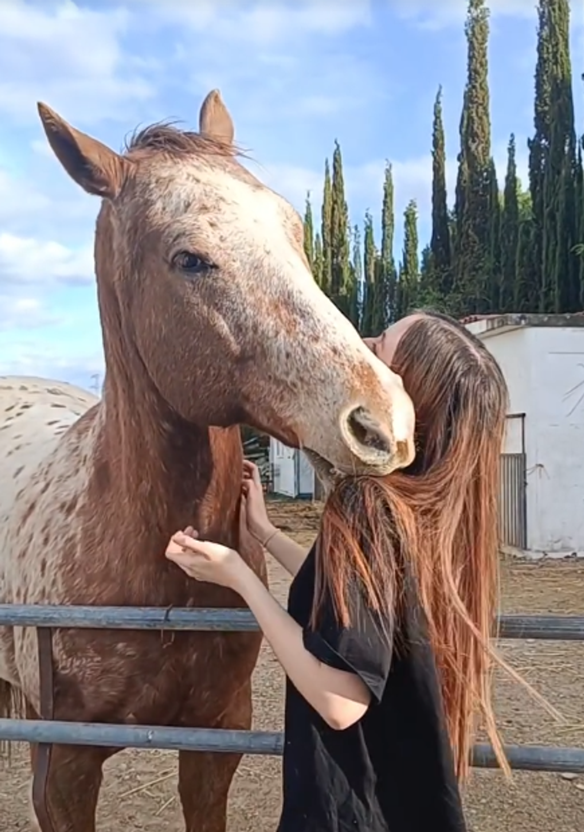 caballo appaloosa y chica