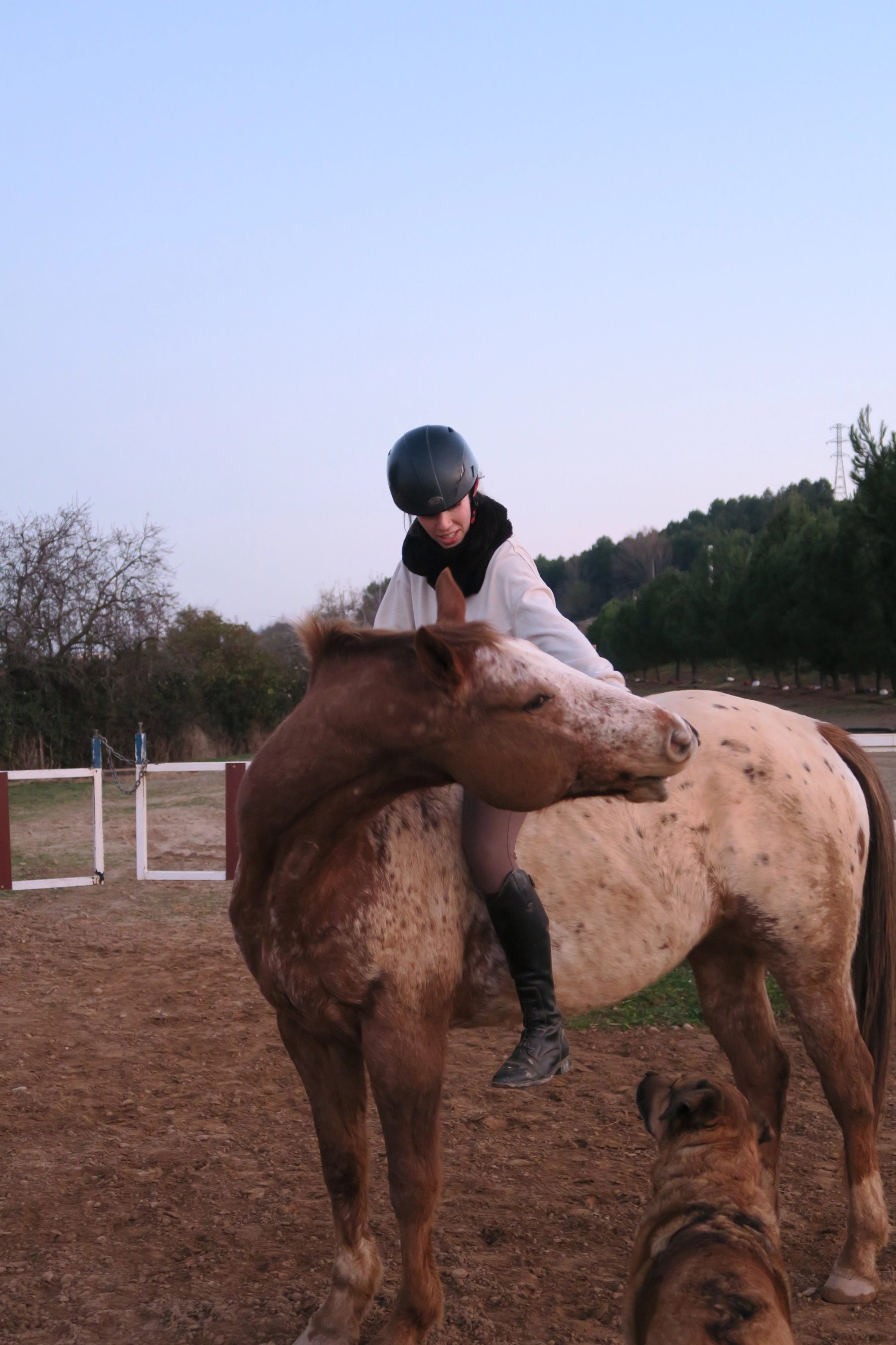 chaman con jinete a pelo