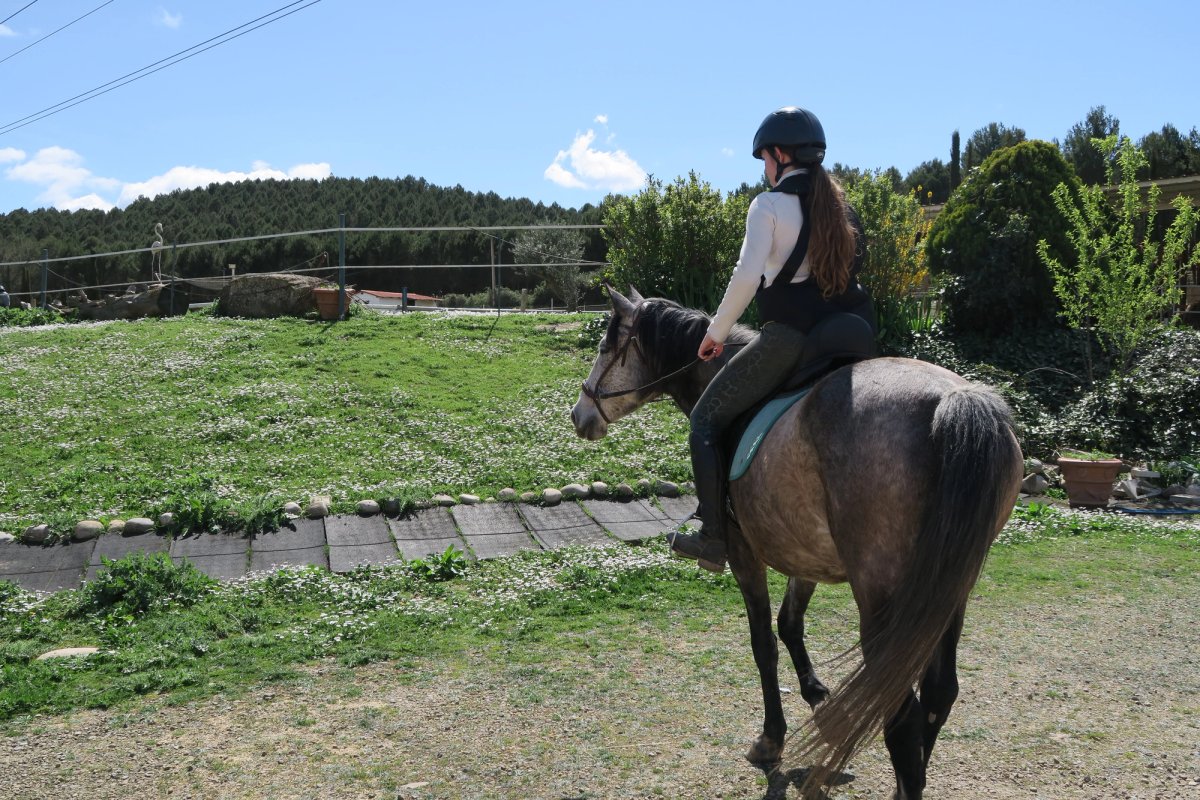 Yegua torda de espaldas con jinete