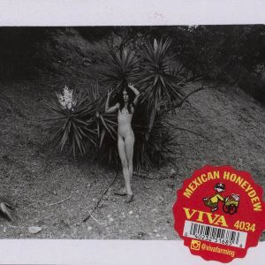 Danny Fox & Kingsley Ifill: Eye For A Sty, Tooth For The Roof