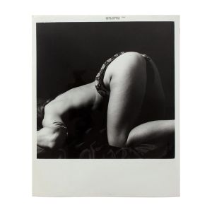 Regina Star: Untitled