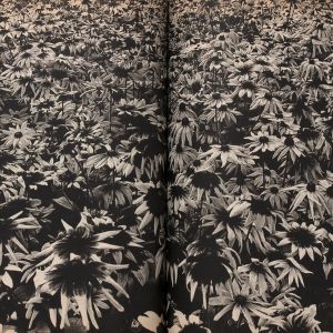 Daidō Moriyama: Memories of a dog, final chapter