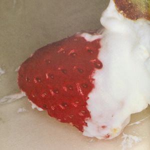 Nobuyoshi Araki: The Banquet