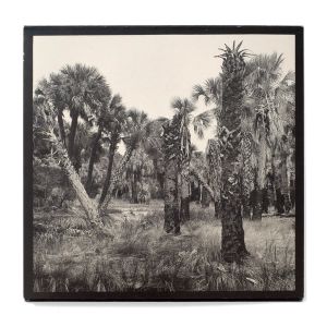 Carrie Mae Weems: Sea Islands