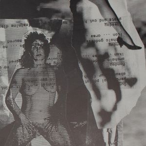 Carolee Schneemann: Video Burn