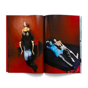 Deitch Projects: Womanizer