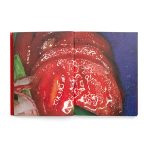 Nobuyoshi Araki: The Banquet