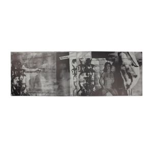 Carolee Schneemann: Video Burn