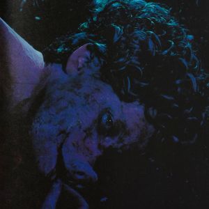 Cindy Sherman: Cindy Sherman