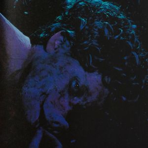 Cindy Sherman: Cindy Sherman