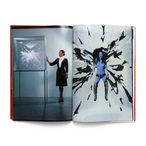 Deitch Projects: Womanizer