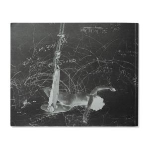 Carolee Schneemann: Up To And Including Her Limits