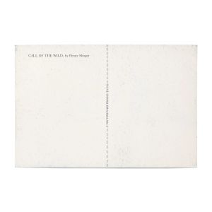 Penny Slinger: Call of the Wild (An Exorcism)