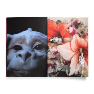 Charlie Fox: Flowers of Romance