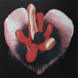 Nancy Bruning Levine: Hardcore Crafts