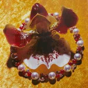 Nobuyoshi Araki: Yami No Hana: Araki’s Jewelry and Flower