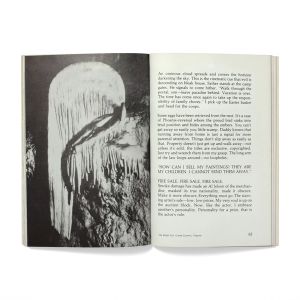 Mike Kelley: Plato's Cave, Rothko's Chapel, Lincoln's Profile