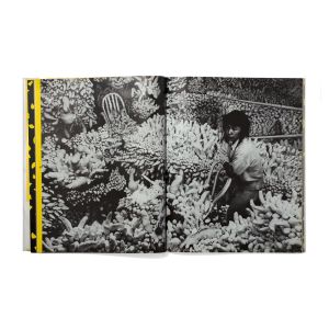 Yayoi Kusama: Driving Image