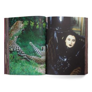 Charlie Fox: Flowers of Romance