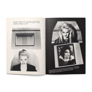 Stephen Willats: Doppelgänger