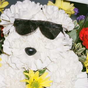 Martine Syms: PICTURES, 2014-2024