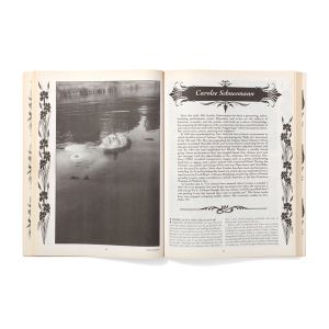 RE/Search: Angry Women