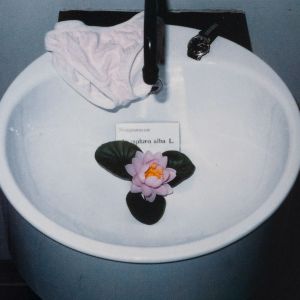 Paul-Armand Gette: Nymphaeum