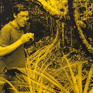 David Wojnarowicz: A Tribute to David Wojnarowicz