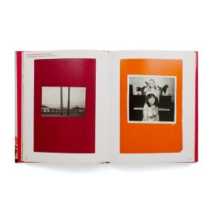 Boris Mikhailov: A Retrospective
