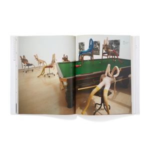 Sarah Lucas: Exhibitions and Catalogue Raisonné,1989-2005