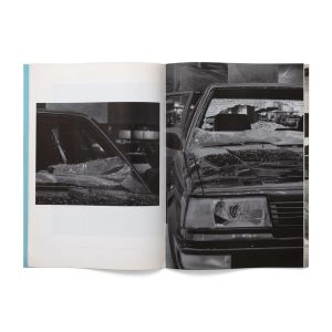 Sarah Lucas: Car Park