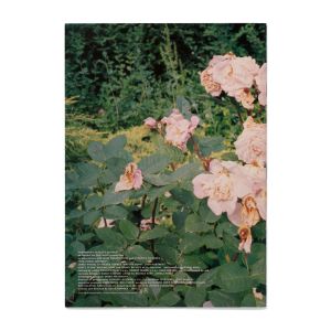 Sofia Coppola: The Virgin Suicides