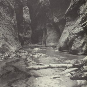 Gray Wielebinski: The Red Sun is High, the Blue Low