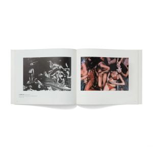 Carolee Schneemann: Up To And Including Her Limits