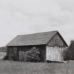 Collier Schorr: Neighbours / Nachbarn