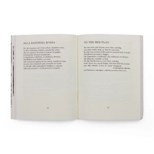 Pier Paolo Pasolini: Roman Poems