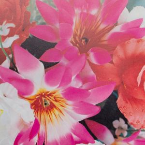 Mika Ninagawa: A Piece of Heaven