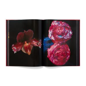 Nobuyoshi Araki: Yami No Hana: Araki’s Jewelry and Flower