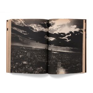 Daidō Moriyama: Memories of a dog, final chapter