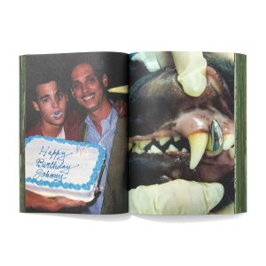 Charlie Fox: My Head is a Haunted House