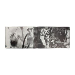 Carolee Schneemann: Video Burn