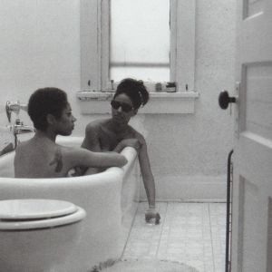 Lorna Simpson: Interior/Exterior, Full/Empty