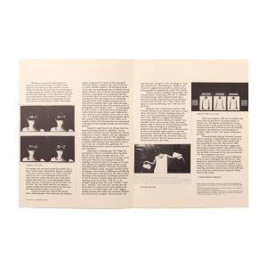 Lorna Simpson: Centric 38: Lorna Simpson