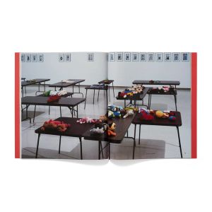 Mike Kelley: Mike Kelley